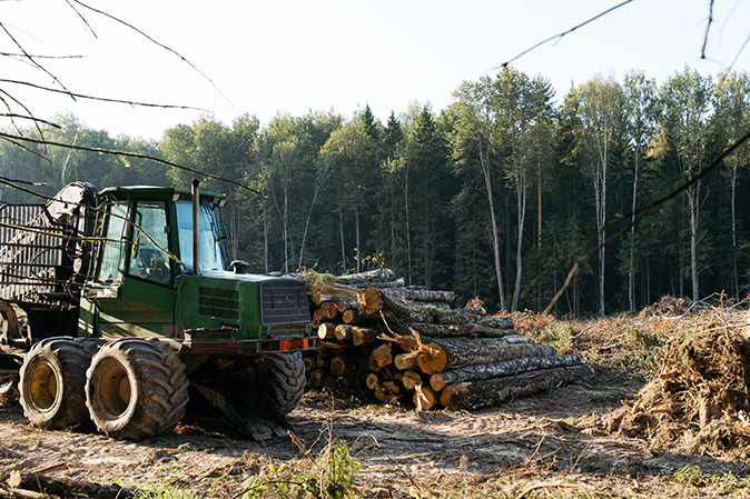 Forestry vehicle with a stack of logs in the woods